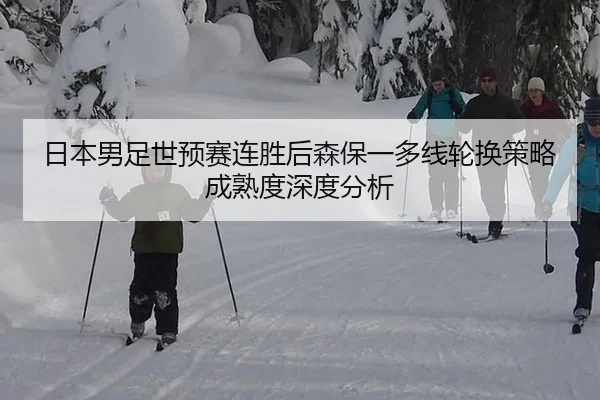 ri-ben-nan-zu-shi-yu-sai-lian-sheng-hou-sen-bao-yi-duo-xian-lun-huan-ce-lve-cheng-shu-du-shen-du-fen-xi-2-283.jpg